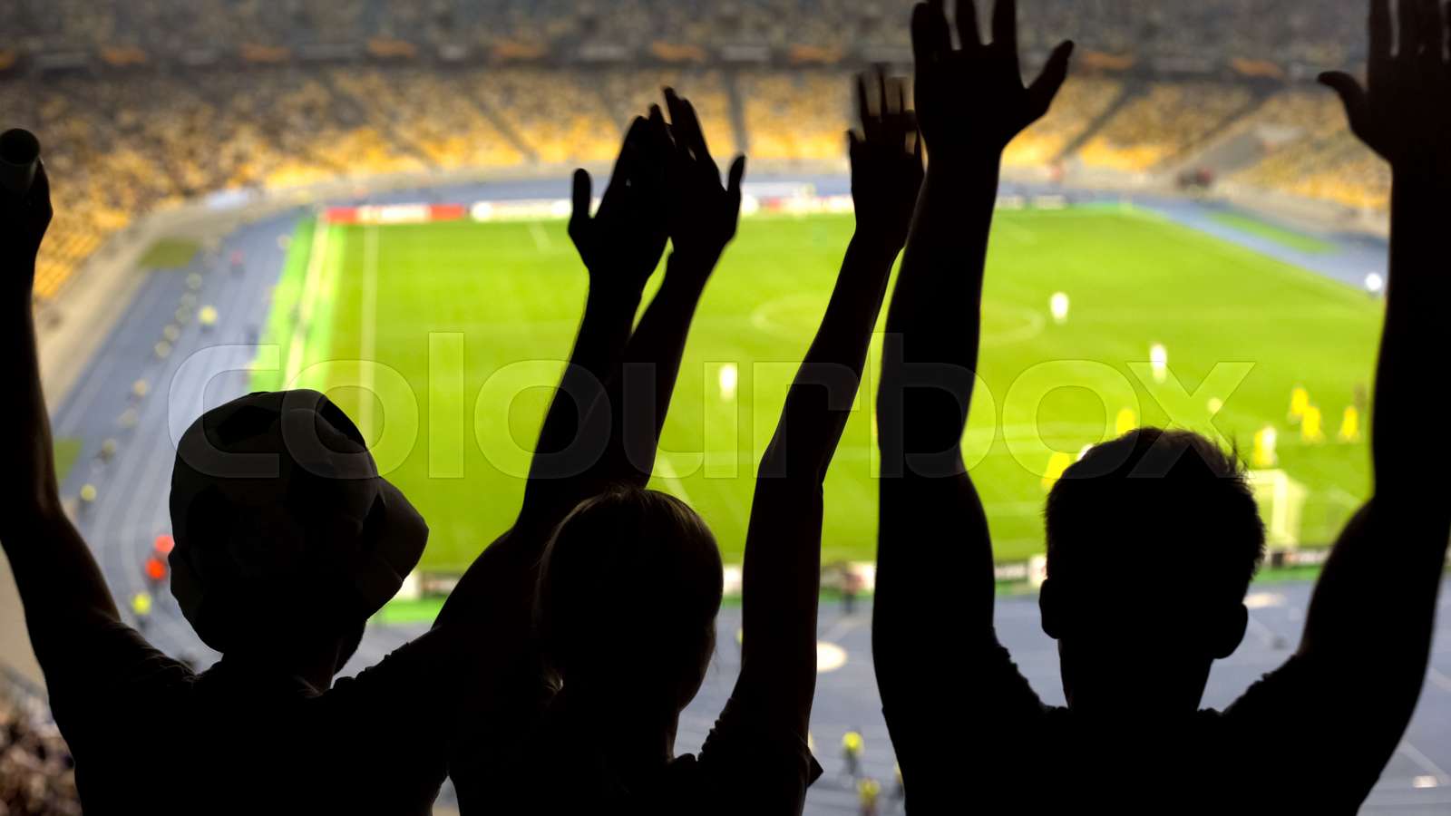 Football fans celebrating a goal